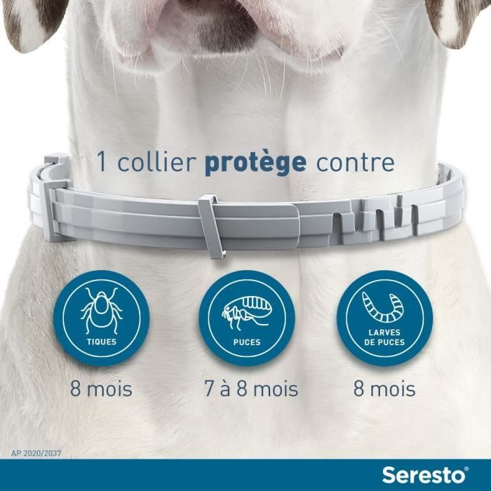 SERESTO Chien Collier Anti-Puces et Anti-Tiques -8kg 2 unités