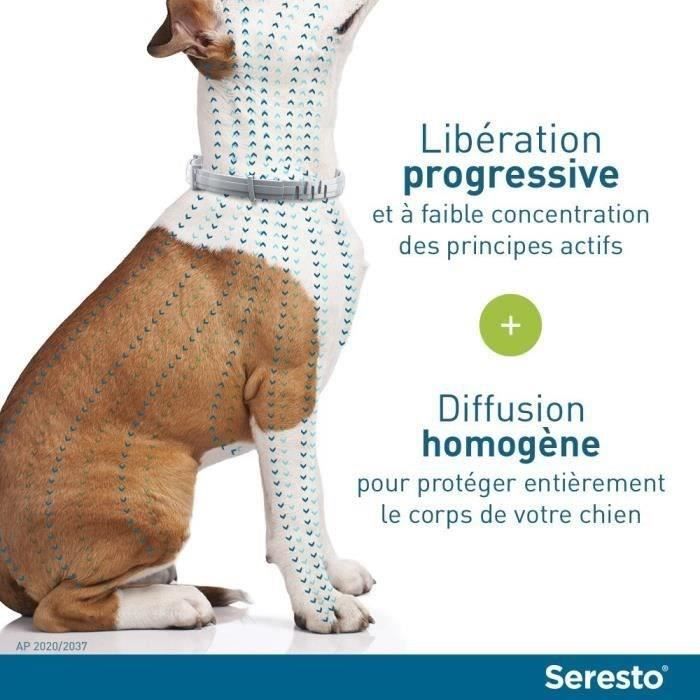 SERESTO Chien Collier Anti-Puces et Anti-Tiques -8kg 2 unités