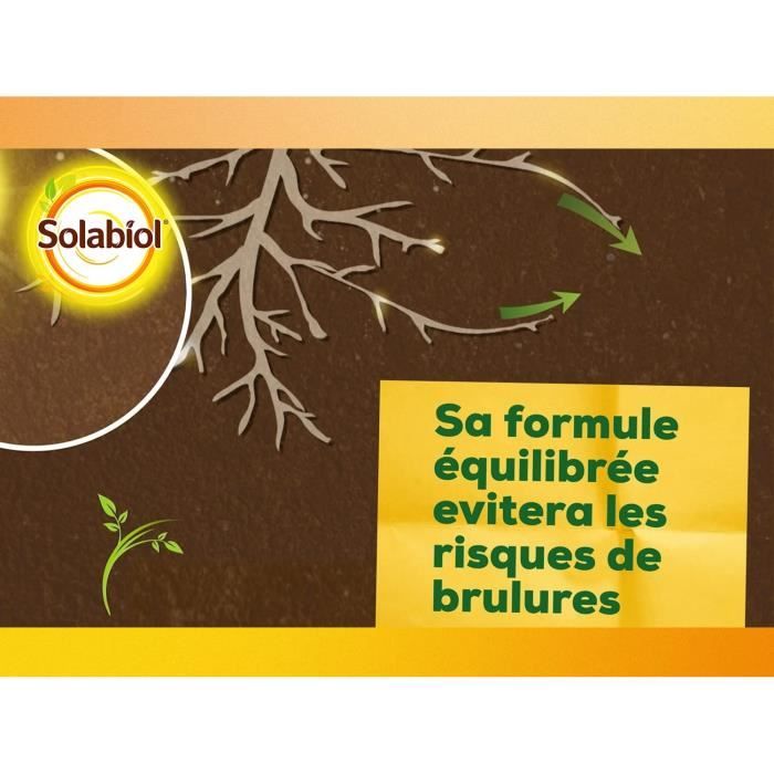 Solabiol SOLICOMP1 Engrais Complet Liquide 1L - Engrais universel | Utilisable en Agriculture Biologique