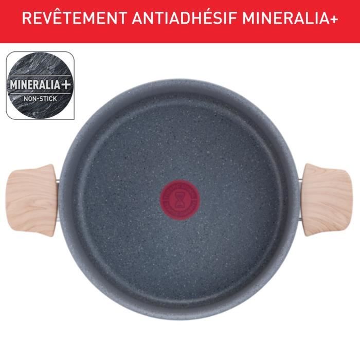 TEFAL Faitout 24 cm + panier vapeur, Induction, Revetement antiadhésif, + Minéraux naturels, Thermo-Signal, Fabriqué France G2669003