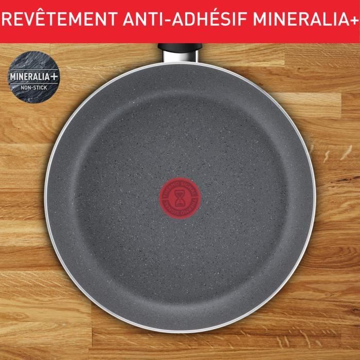 TEFAL Hard Stone Poele 24 cm, Non Induction, Revetement antiadhésif Mineralia +, Sans PFOA, Fabriqué en France D4560432