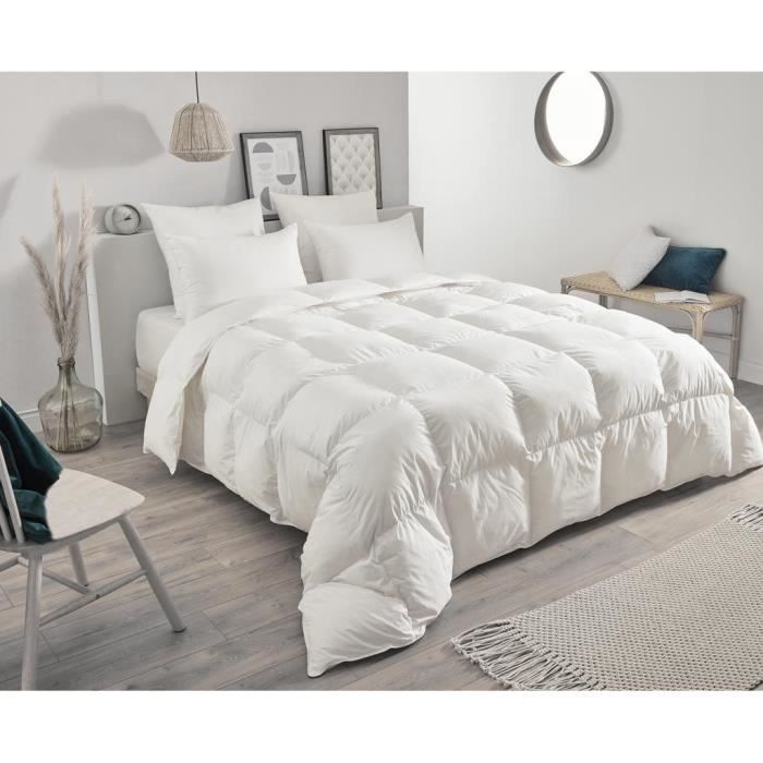 Oreiller TOISON D'OR - Daisy - Plumette et duvet - 65x65cm - Blanc