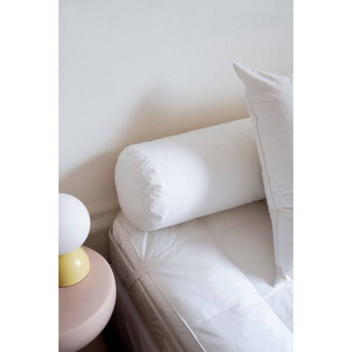 Oreiller TOISON D'OR Pollux Confort ferme 65x65cm Blanc