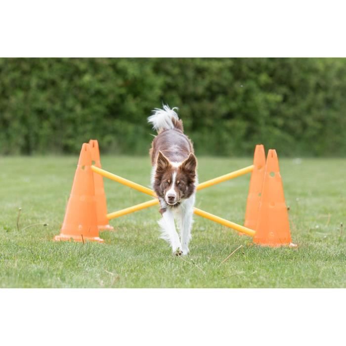 TRIXIE Lot de 3 Activités d'obstacle - Ø 23 × 30 cm - 78 cm - Orange et jaune - Pour chien