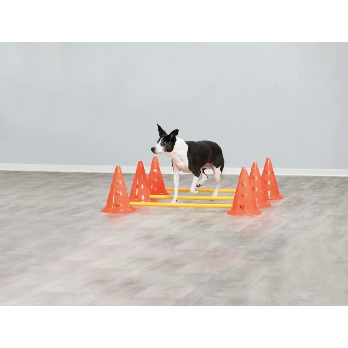 TRIXIE Lot de 3 Activités d'obstacle - Ø 23 × 30 cm - 78 cm - Orange et jaune - Pour chien