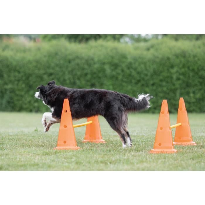 TRIXIE Lot de 3 Activités d'obstacle - Ø 23 × 30 cm - 78 cm - Orange et jaune - Pour chien