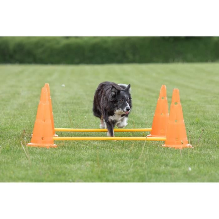 TRIXIE Lot de 3 Activités d'obstacle - Ø 23 × 30 cm - 78 cm - Orange et jaune - Pour chien