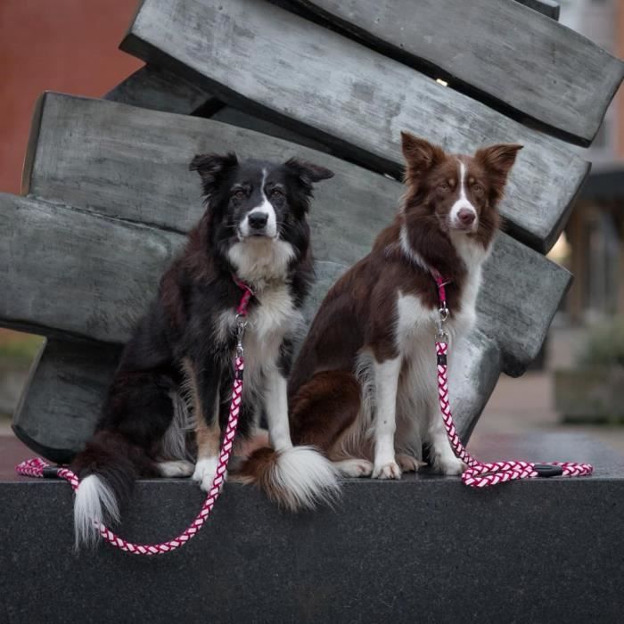 Laisse réglable pour chien TRIXIE Cavo - LXL: 2m - ø 18 mm - Fushia et gris graphite