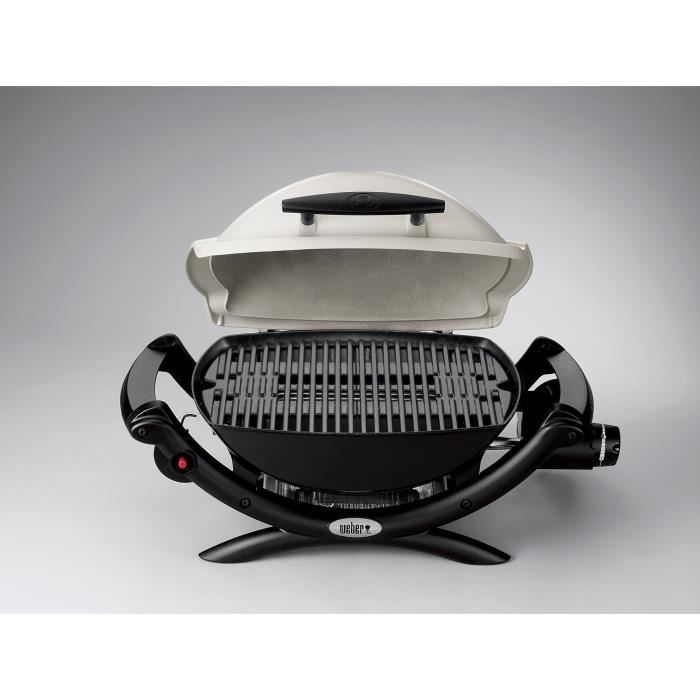 WEBER Barbecue gaz Q 1000 Stand Gas Grill