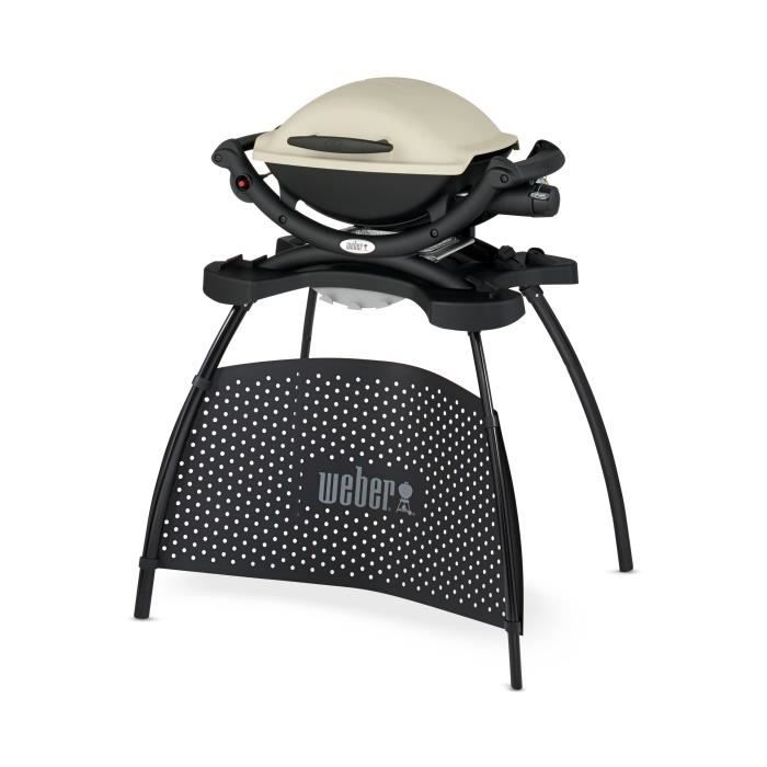 WEBER Barbecue gaz Q 1000 Stand Gas Grill