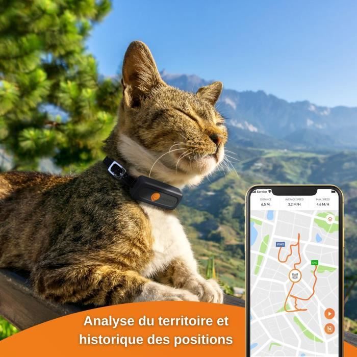 Traceur GPS pour Chat - Weenect XS (Black Edition 2023)